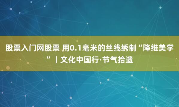 股票入门网股票 用0.1毫米的丝线绣制“降维美学”丨文化中国行·节气拾遗