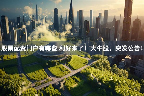 股票配资门户有哪些 利好来了！大牛股，突发公告！