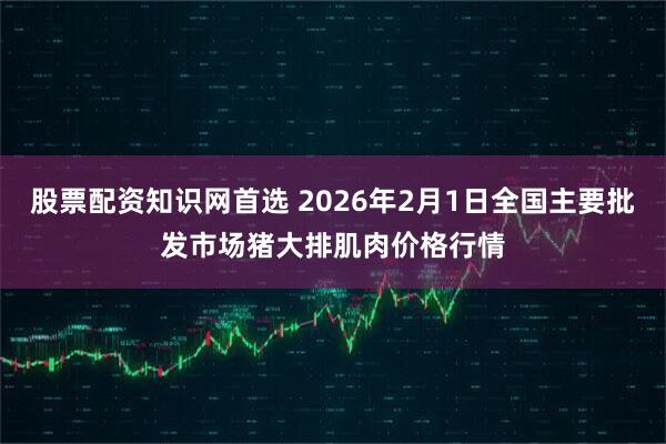 股票配资知识网首选 2026年2月1日全国主要批发市场猪大排肌肉价格行情