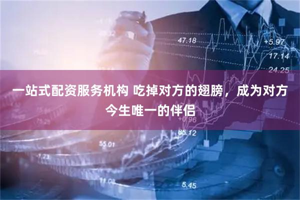 一站式配资服务机构 吃掉对方的翅膀，成为对方今生唯一的伴侣