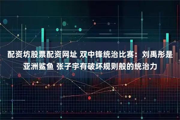 配资坊股票配资网址 双中锋统治比赛：刘禹彤是亚洲鲨鱼 张子宇有破坏规则般的统治力